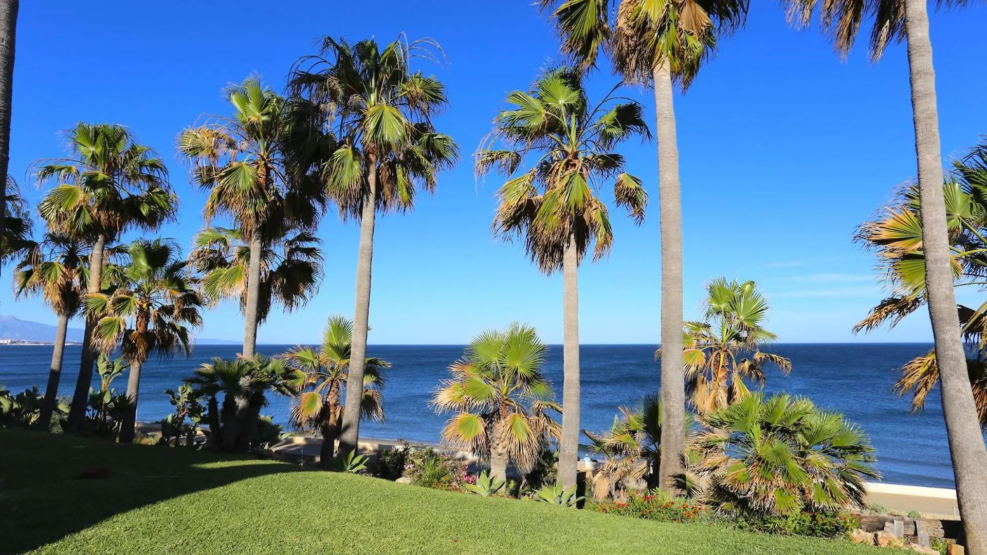 Estepona Premium Beach House